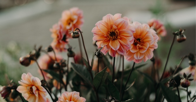 Ice Or Heat, Which Is Better When You're Hurt?