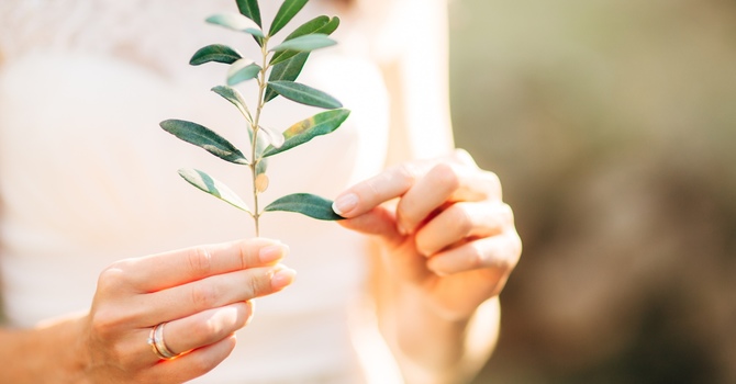 The Importance of Spinal Health for Overall Wellness